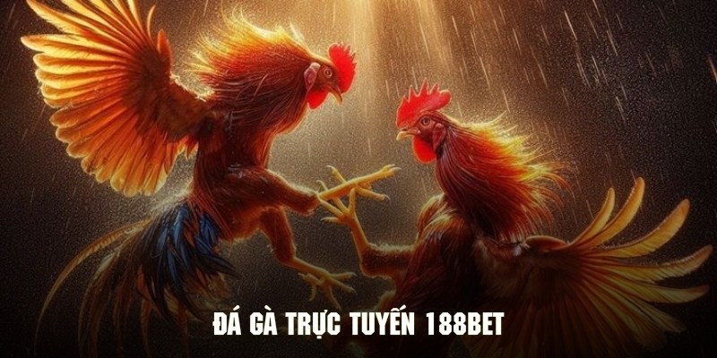 Đá gà trực tuyến với hàng trăm trận kinh điển cực nóng bỏng