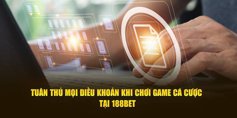 Cấm các hành vi sai phạm đến điều khoản điều kiện