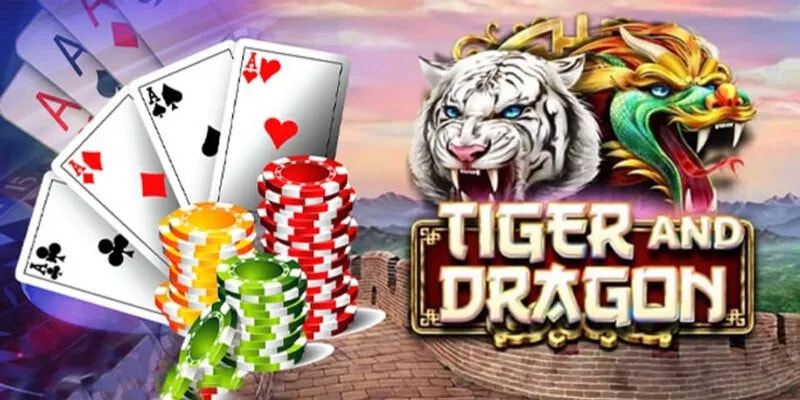 Giới thiệu về nguồn gốc và sự phổ biến của Rồng hổ 